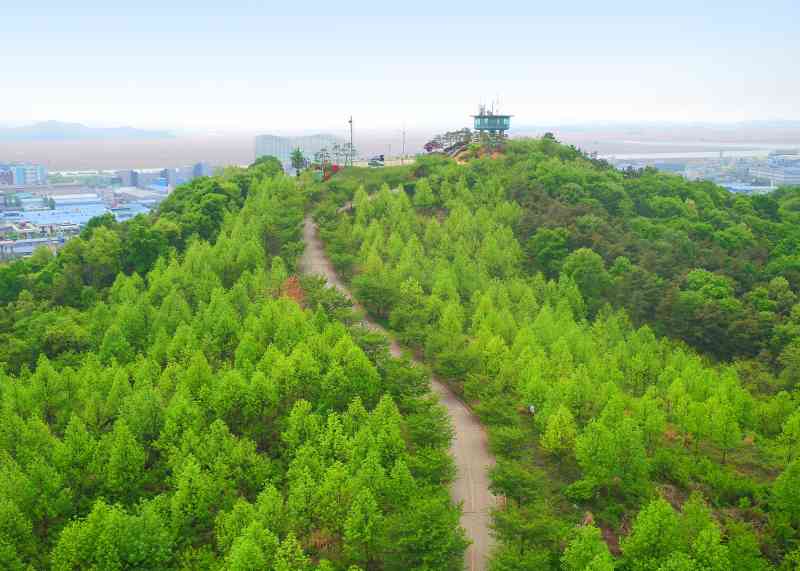 ‘배구 선수들이 간다!’ OK저축은행 배구단, 안산시 장애인과 서울대공원 나들이