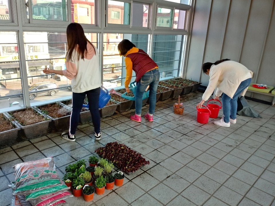 원곡동 청소년공부방 학생들  텃밭놀이터에서 먹거리 수확