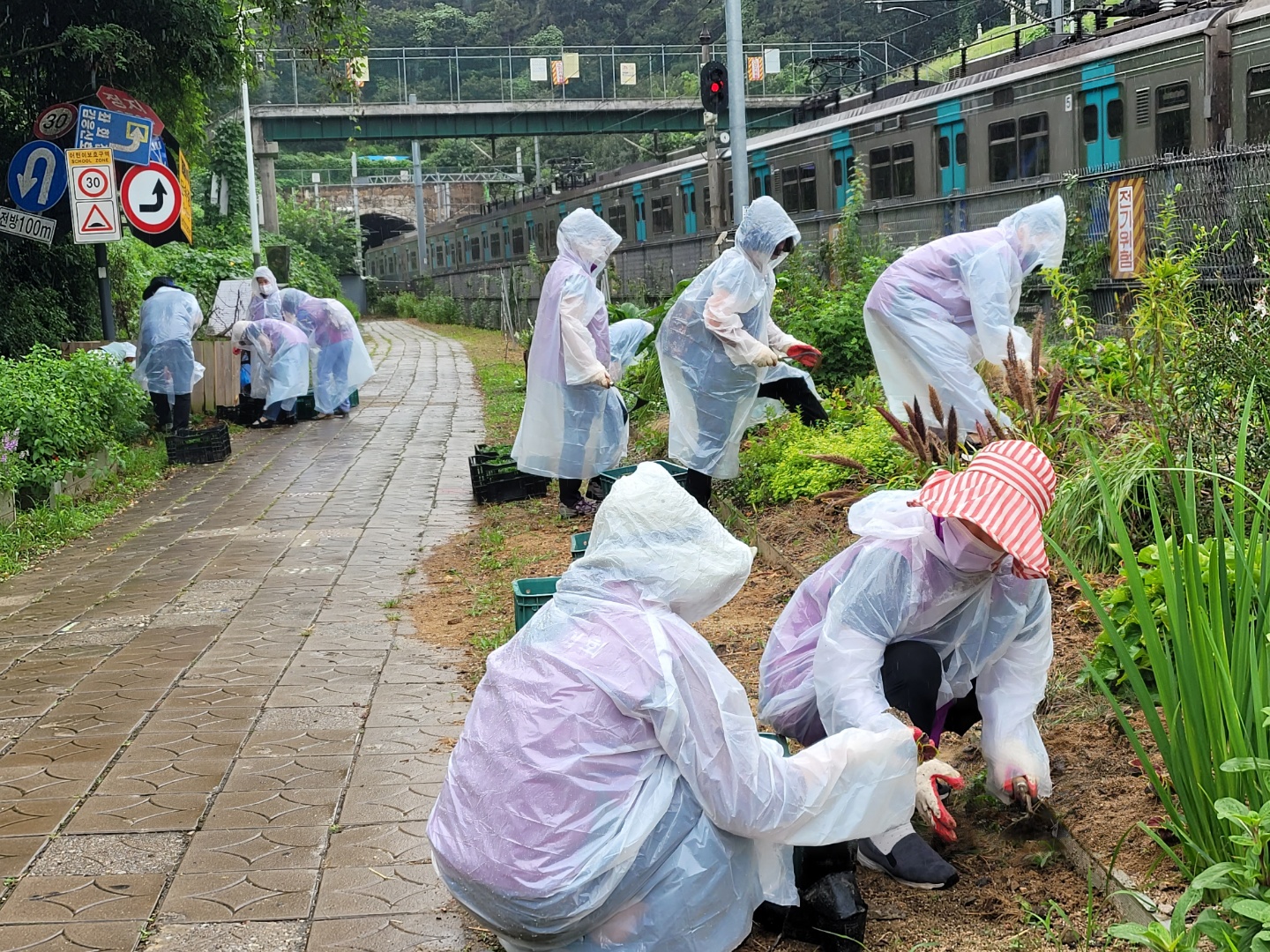 안산시 반월동, 가을꽃으로 걷고 싶은 거리 조성