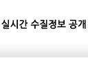 실시간 수질정보 공개