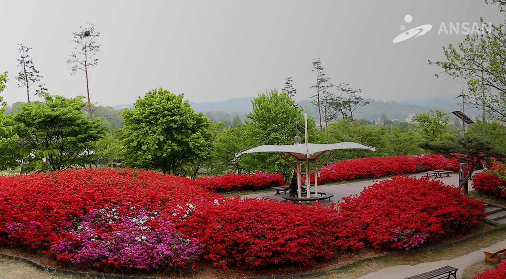  Nojeokbong Park