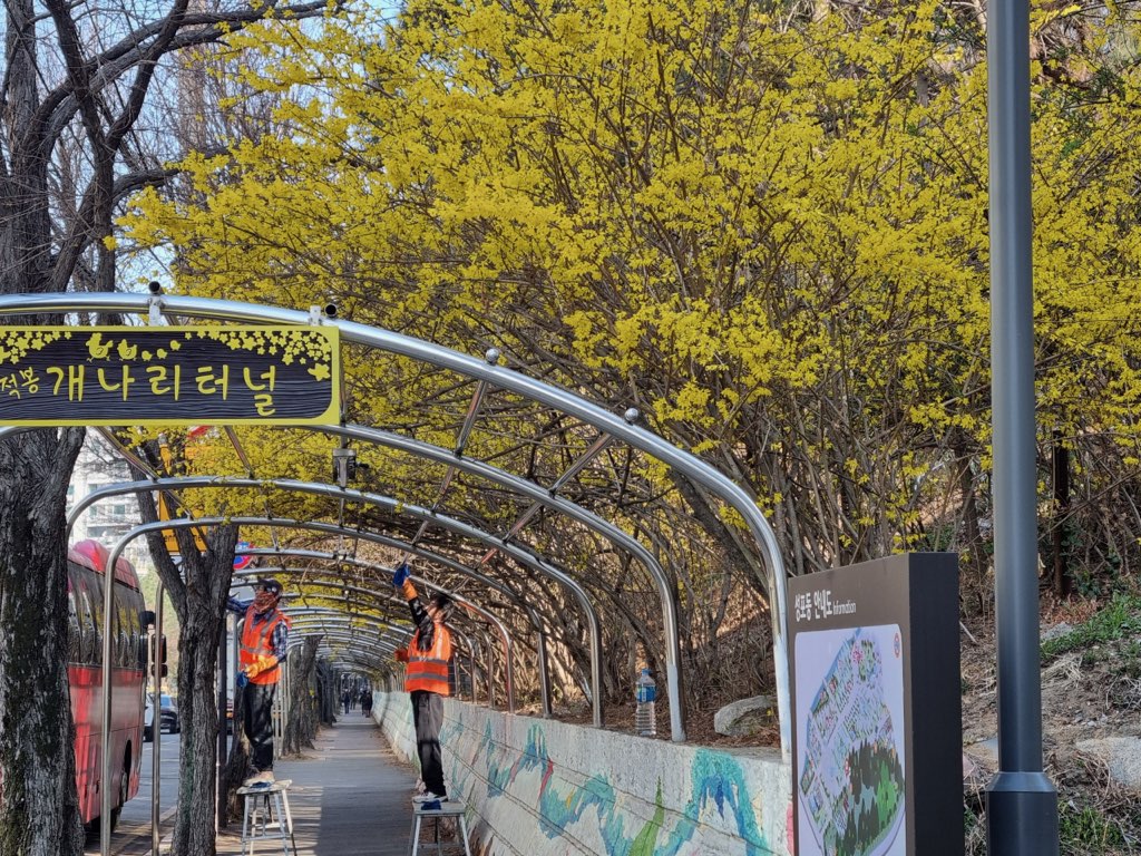 성포동 개나리터널 안전한 주민휴식공가능로 새 단장  사진