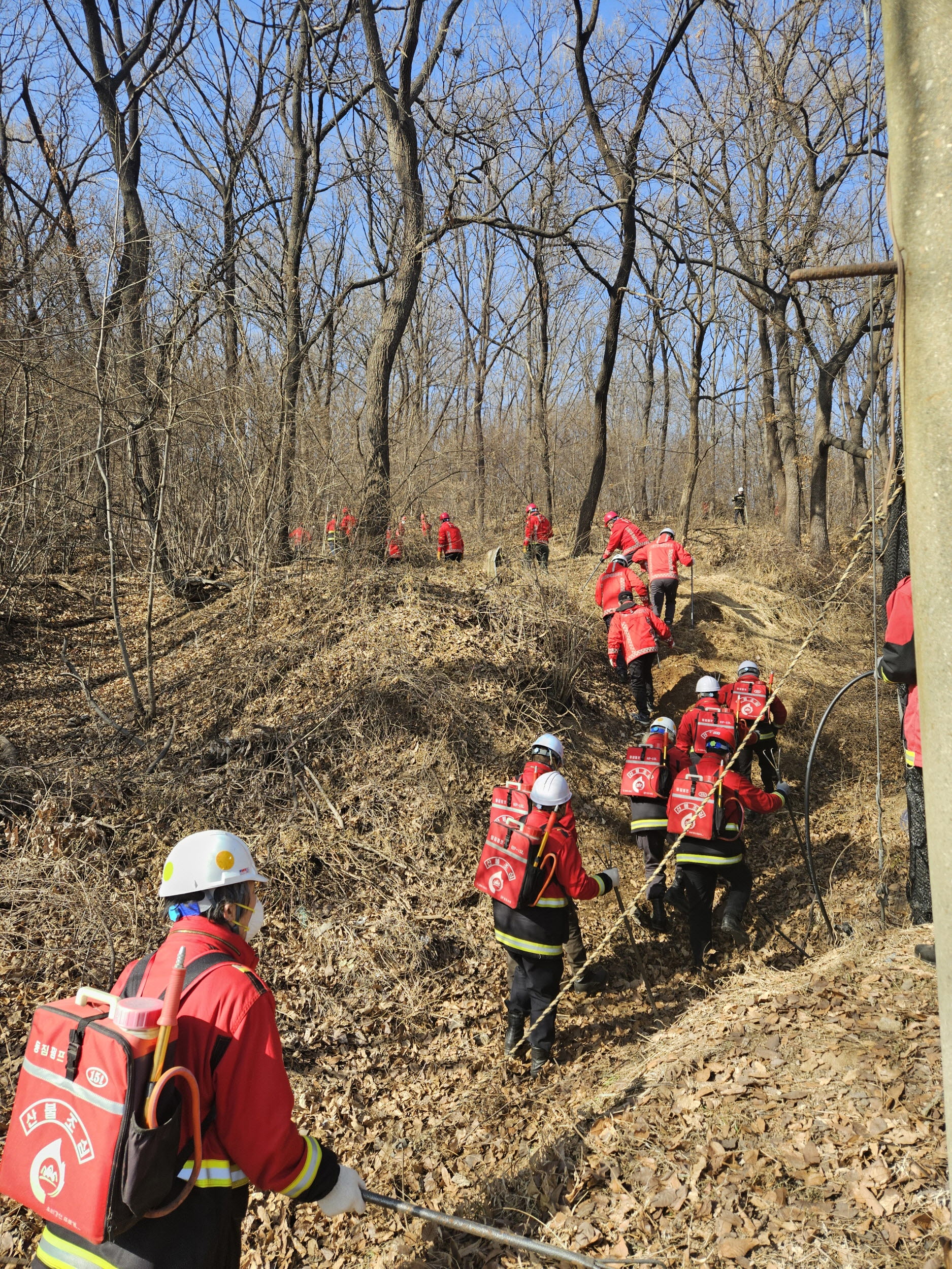 산불·산사태 가정한 진화, 주민 대피 합동훈련 전개 이미지 1