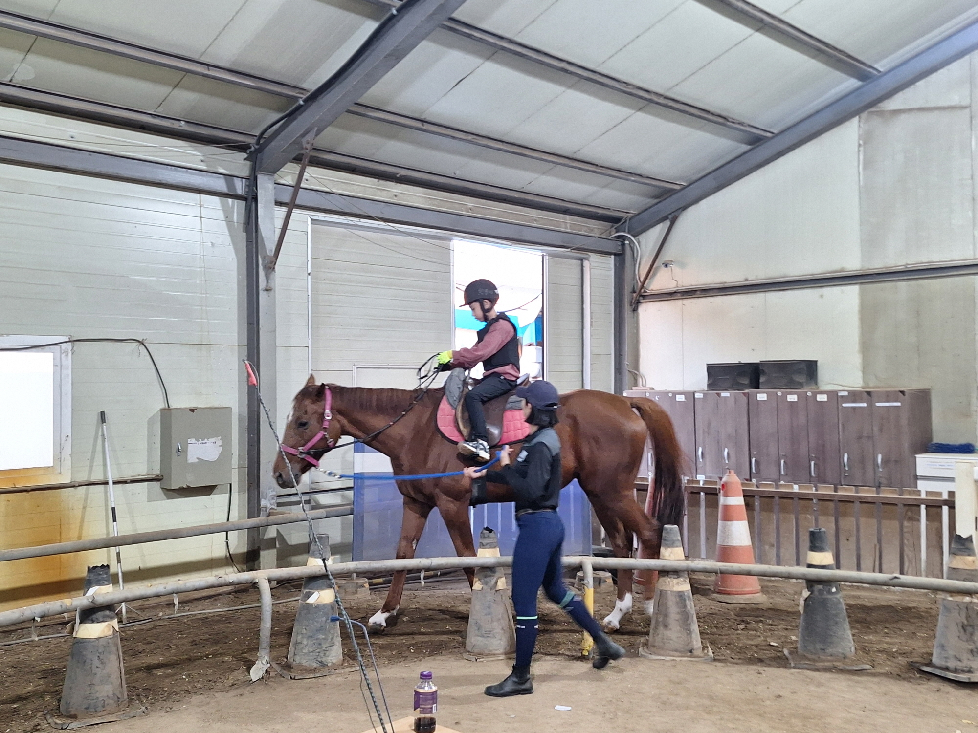 학생승마체험 지원사업 시행… 청소년 정서·체력 향상 기대 이미지 1