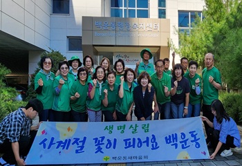 단원구 백운동, 남&middot;녀새마을회 풍성한 가을꽃 화단 조성 사진