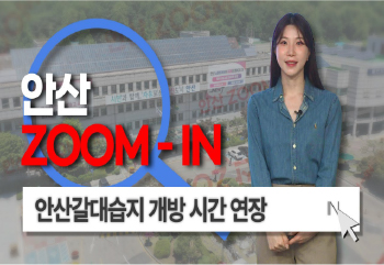 [안산줌인] 밤 10시까지 즐기는 자연 속 힐링 산책! 안산갈대습지 바람소리길 개방 시간 연장! 사진