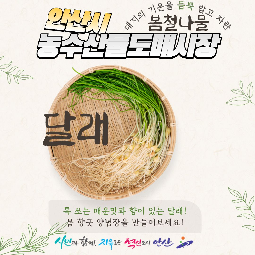 6. 달래.jpg