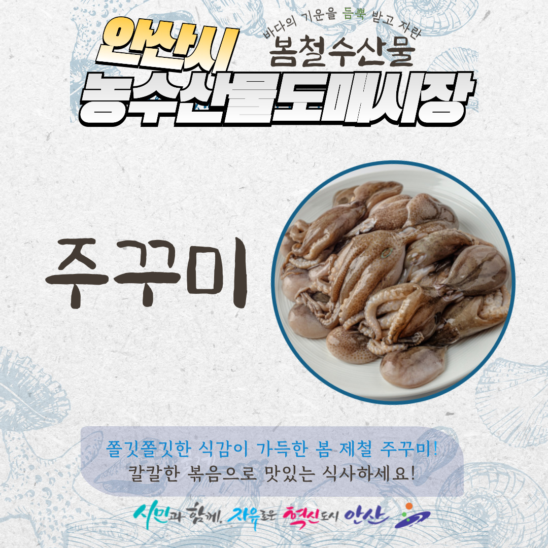 봄철 수산물 - 쭈꾸미 사진