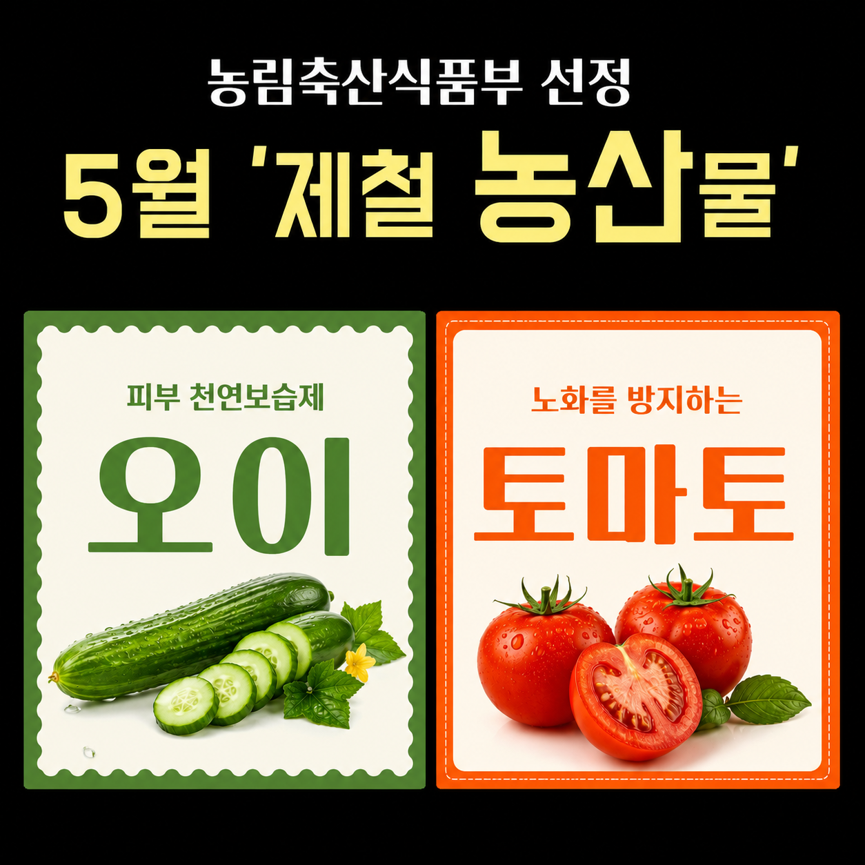 5월 제철 농산물.png
