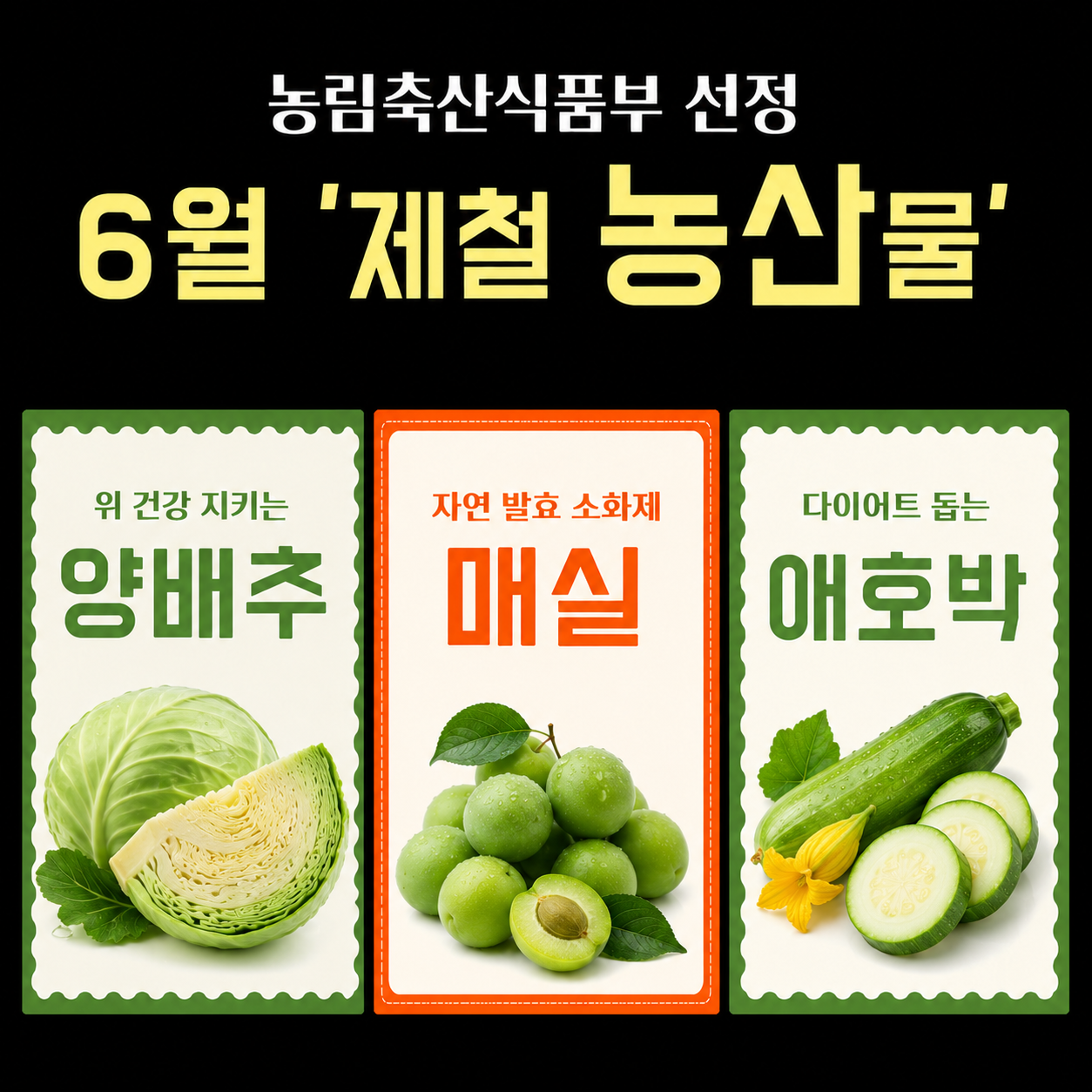 6월 제철 농산물.png