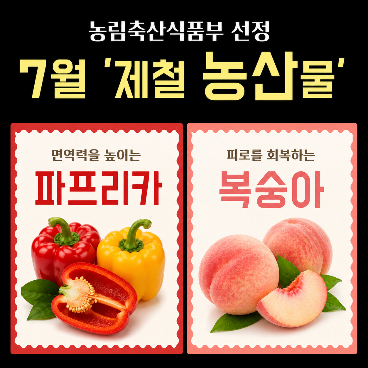 7월 이달의 제철 농산물 사진