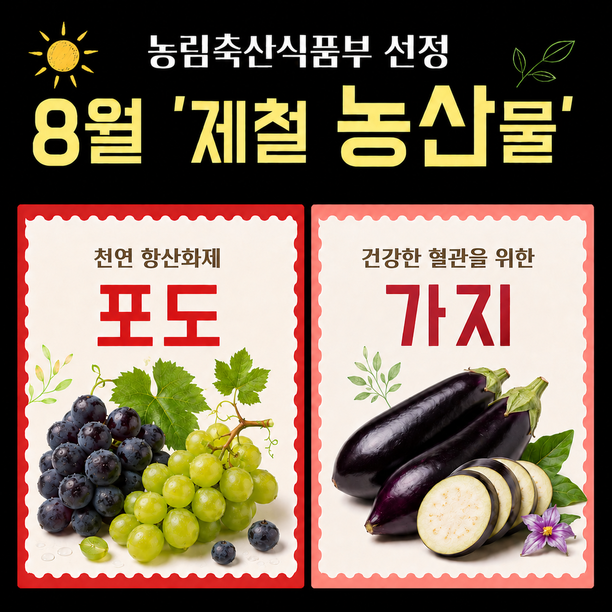 8월 제철 농산물.png