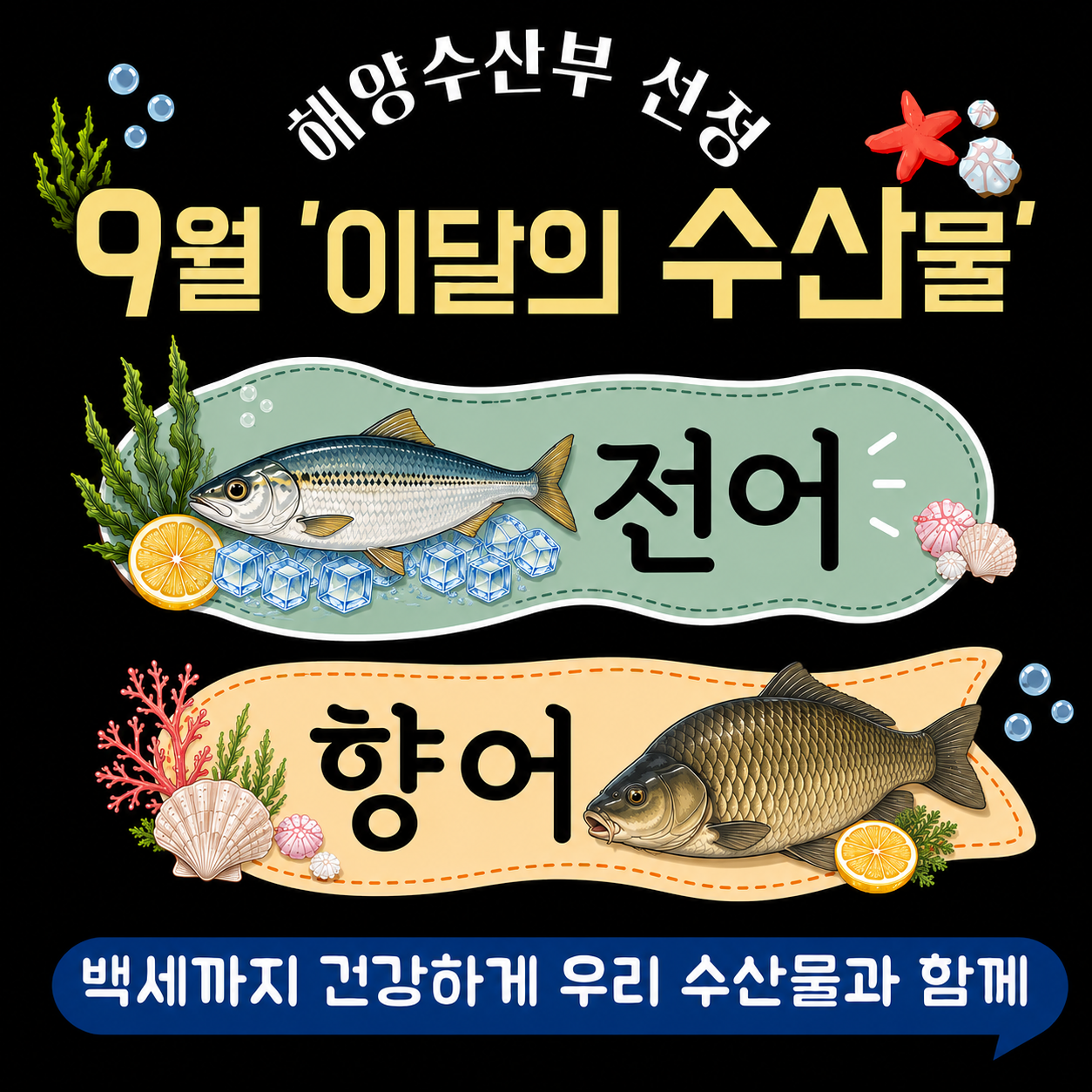 9월 이달의 수산물.png