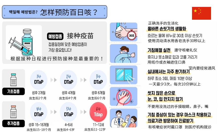  호흡기 감염병, 백일해 예방 홍보물(다국어) 썸네일 이미지