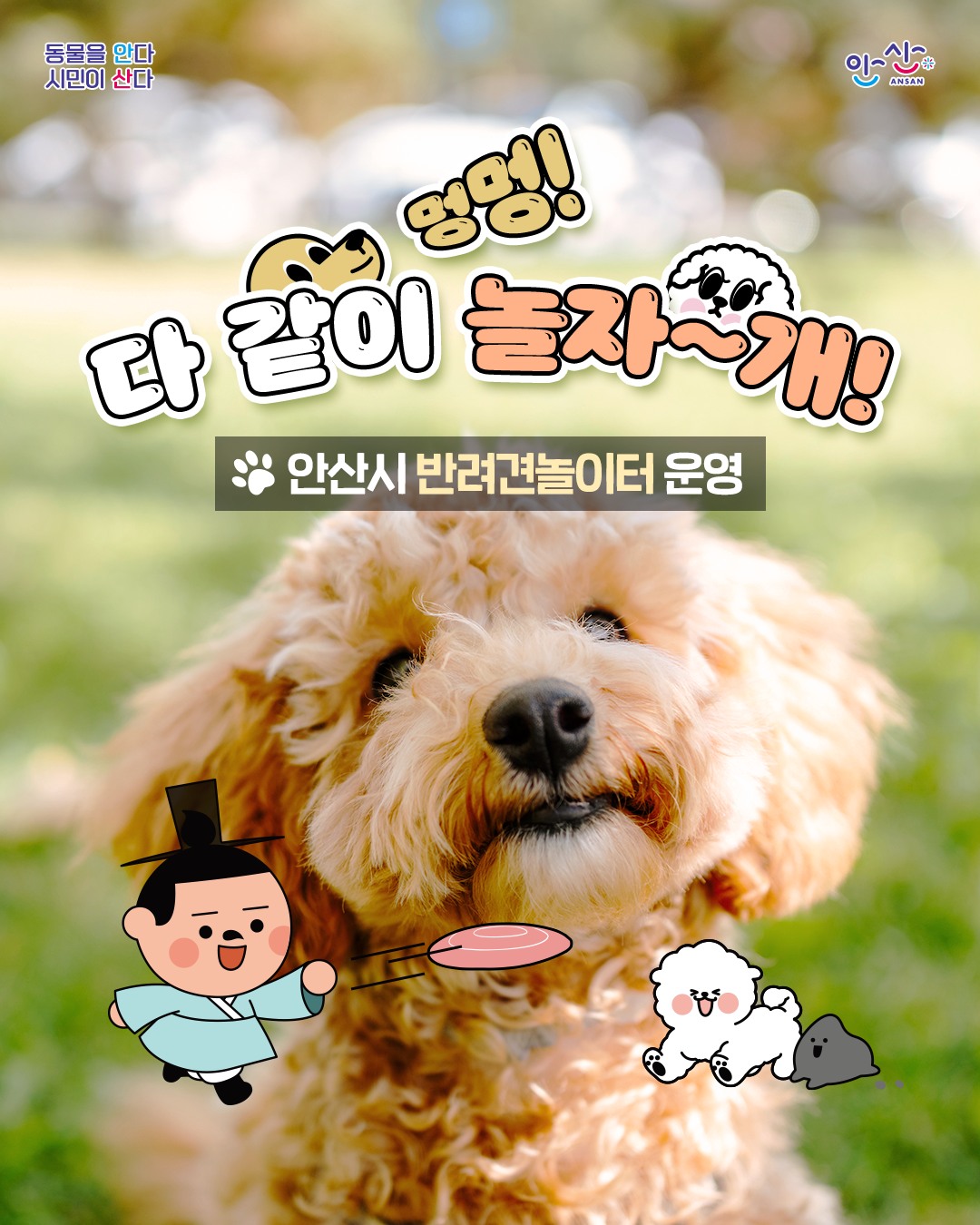 반려견놀이터 운영