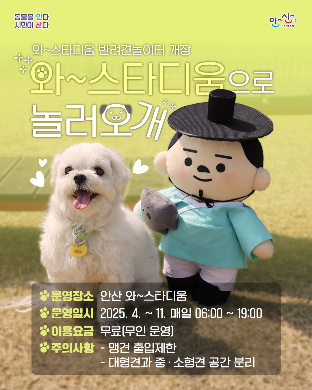 와~스타디움 반려견놀이터 개장