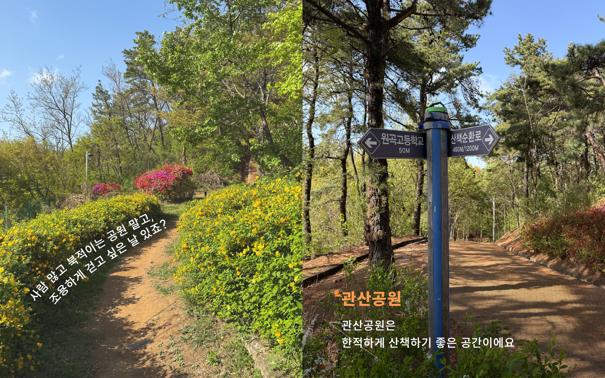 관산공원 묶음 용량 다운-11.jpg
