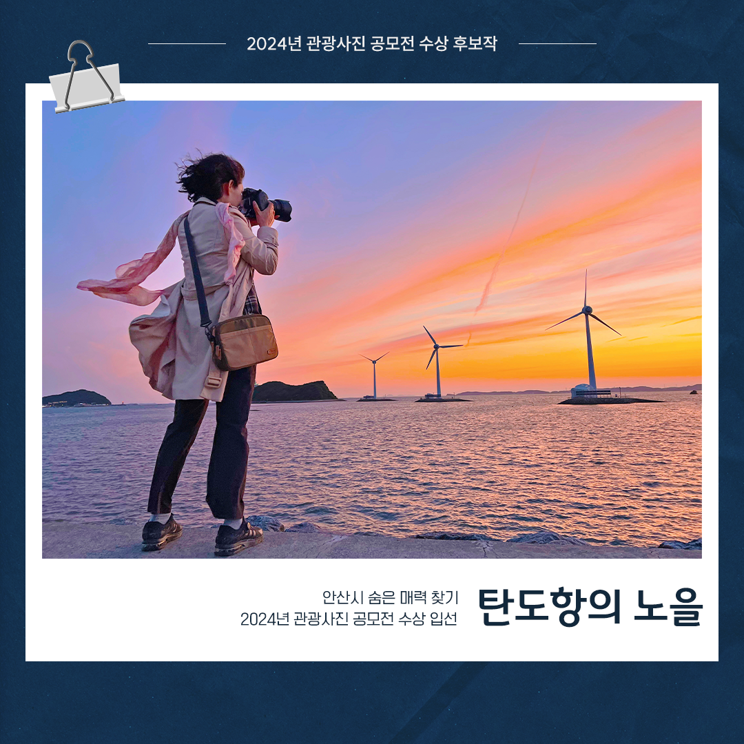 [입선]탄도항의 노을 사진