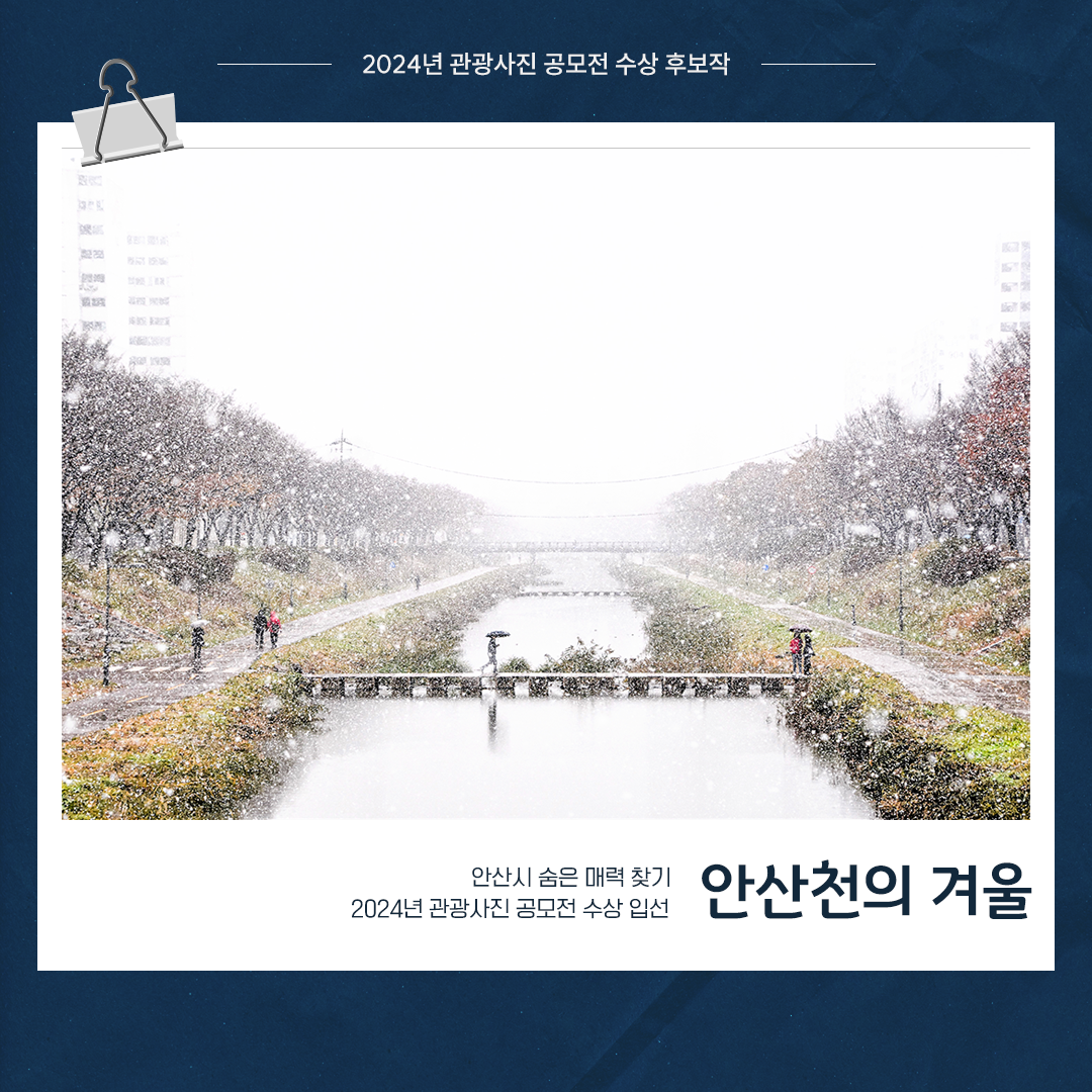 [입선]안산천의 겨울 사진