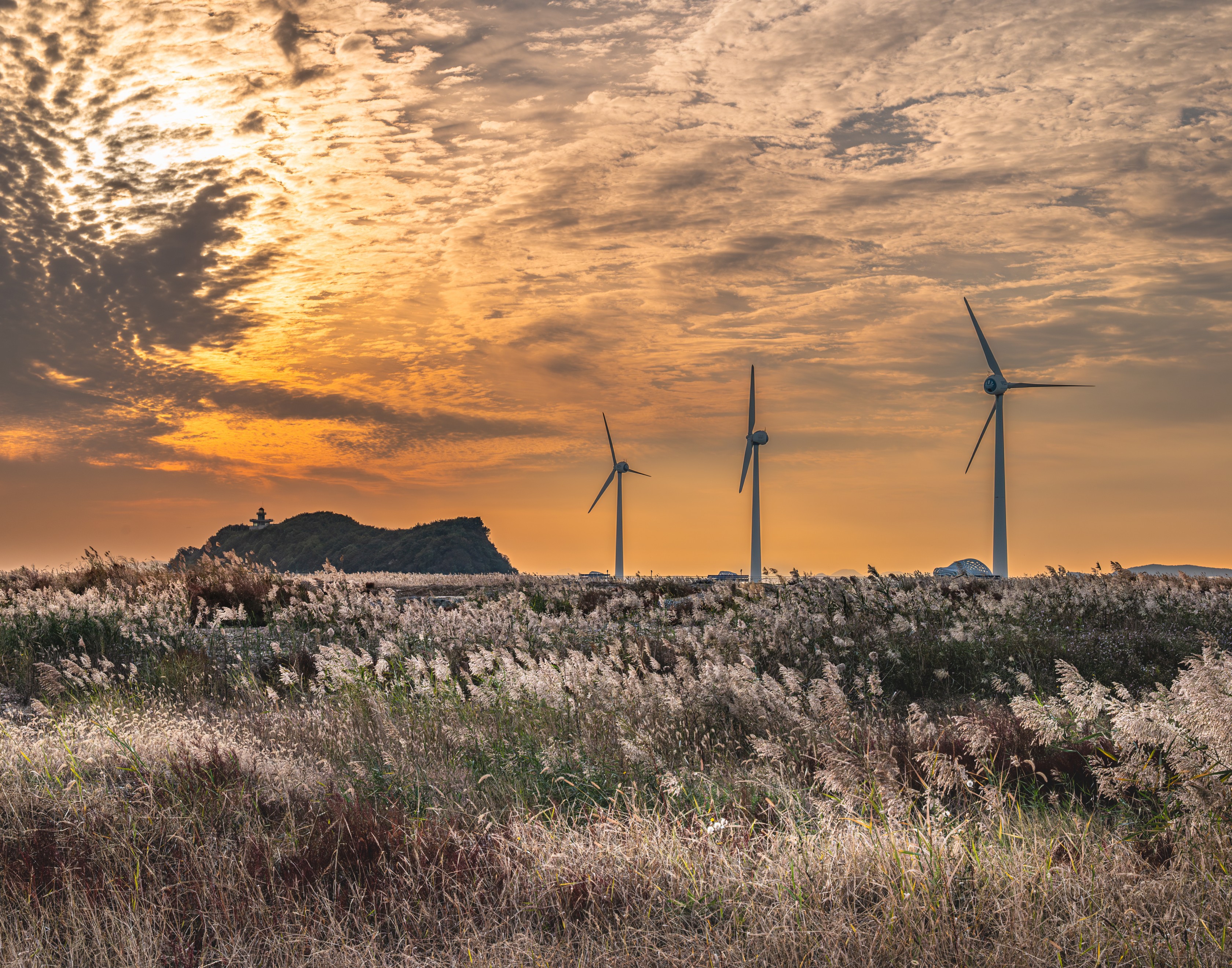 ㄱ최우수_황금빛 바람길, 안산의 낭만_문상헌.jpg