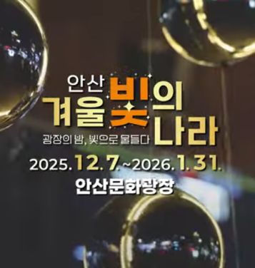 안산 겨울 빛의나라 사진