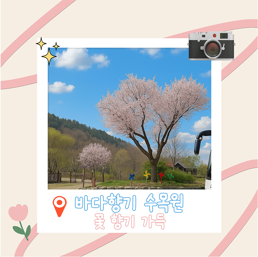 바다향기 수목원 꽃 향기 가득
