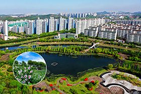 호수공원과 무궁화동산