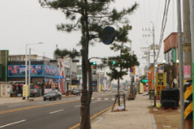 방아머리음식문화거리2