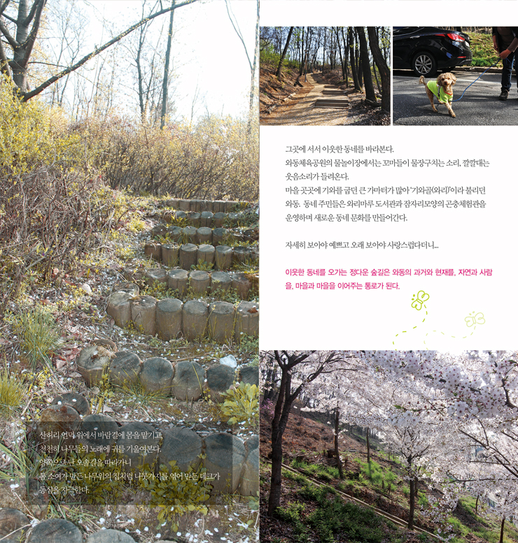 산허리 언던 위에서 바람길에 몸을 맡기고, 천천히 나무들의 노래에 귀를 기울여본다. 양쪽으로 난 오솔길을 따라가니  톰 소여가 만든 나무위의 집처럼 나뭇가지를 엮어 만든 데코가 동심을 자극한다. 그곳에 서서 이웃한 동네를 바라본다. 와동체육공원의 물놀이장에서는 꼬마들이 물장구치는 소리, 깔깔대는 웃음소리가 들어온다. 마을 곳곳에 기와를 굽던 큰 가마터가 많아 '기와골(와리)'이라 불리던 와동. 동네 주민들은 와리마루도 도서관과 잠자리모양의 곤충체험관을 운영하며 새로운 동네 문화를 만들어간다. 자세히 보아야 예쁘고 오래 보아야 사랑스럽다더니... 이웃한 동네를 오가는 정다운 숲길은 와동의 과거와 현재를, 자연과 사랑을, 마을과 마을을 이어주는 통로가 된다.
