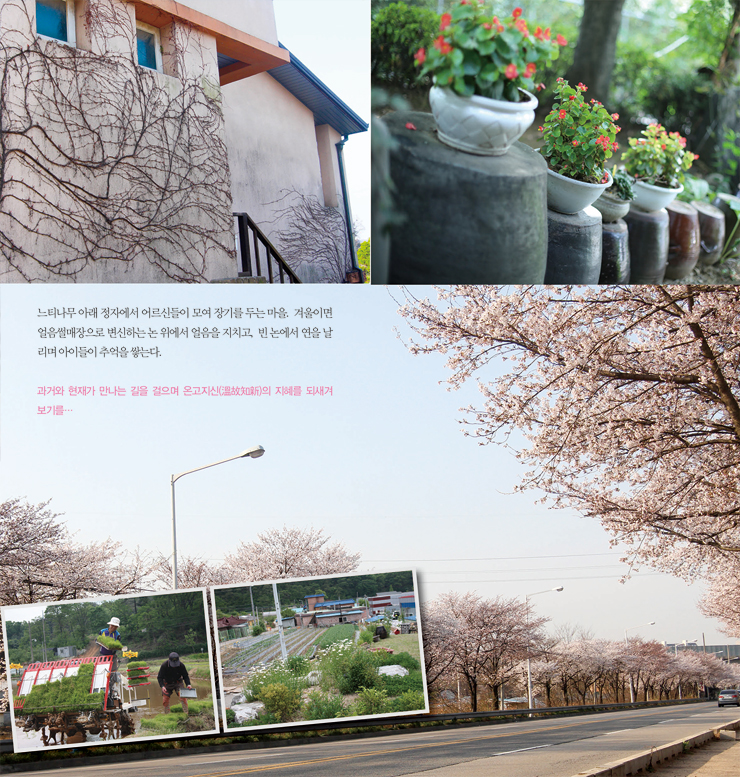 느티나무 아래 정자에서 어르신들이 모여 장기를 두는 마을, 겨울이면 얼음썰매장으로 변신하는 논 위에서 얼음을 지치고, 빈논에서 연을 날리며 아이들이 추억을 쌓는다. 과거와 현재가 만나는 길을 걸으며 온고지신(溫故知新)의 지혜를 되새겨 보기를...