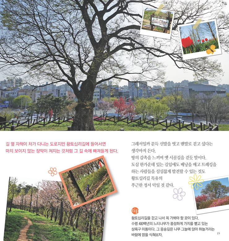 황토십리길 소개 이미지 - 자세한내용은 하단참조