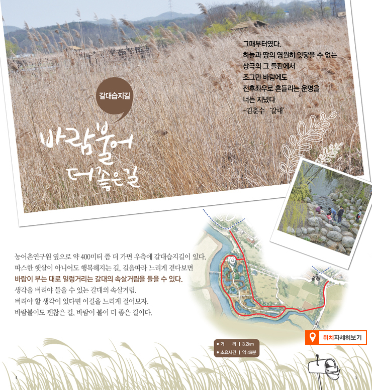 갈대습지길 소개 이미지 - 자세한내용은 하단참조