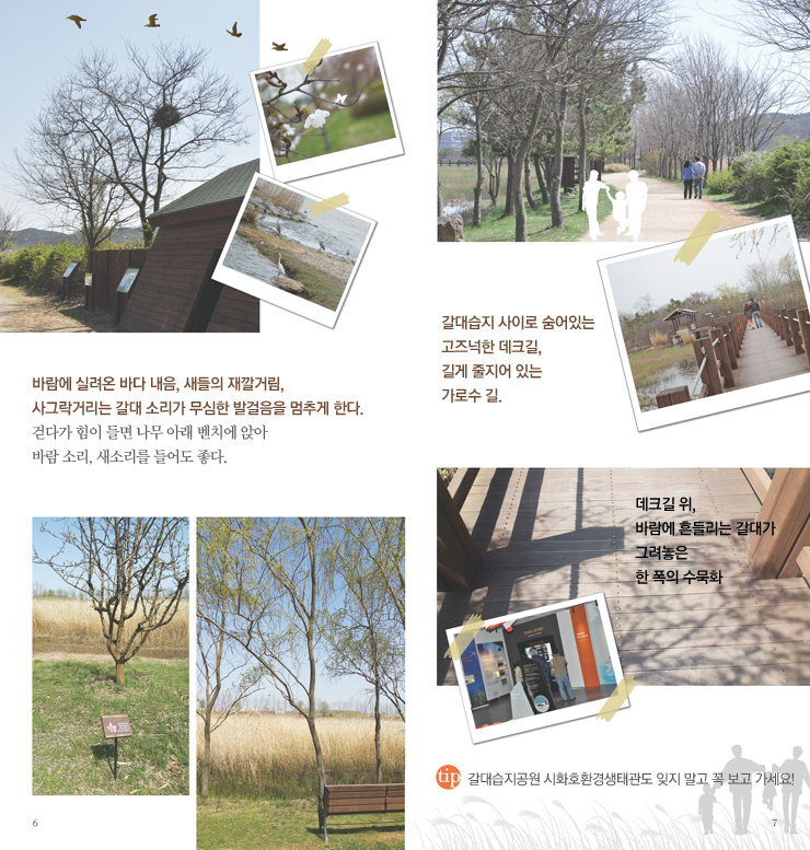 갈대습지길 소개 이미지 - 자세한내용은 하단참조