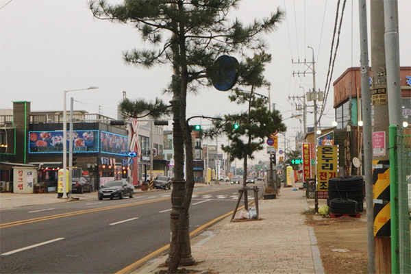 방아머리음식문화거리