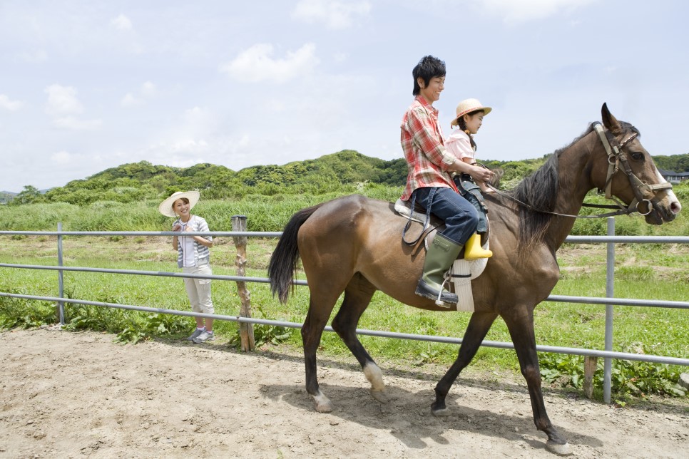 대부도 승마체험