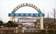 시민시장